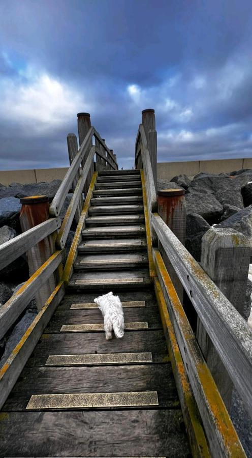 Camber Sands Seascape Horizon Decked Villa Dog Friendly Екстер'єр фото
